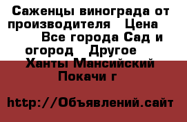 Саженцы винограда от производителя › Цена ­ 800 - Все города Сад и огород » Другое   . Ханты-Мансийский,Покачи г.